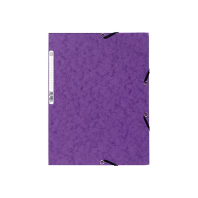 3130630555100-Exacompta Nature Future - 10 Chemises à 3 rabats - A4 - pour 250 feuilles - couleurs vives assort-Avant-1