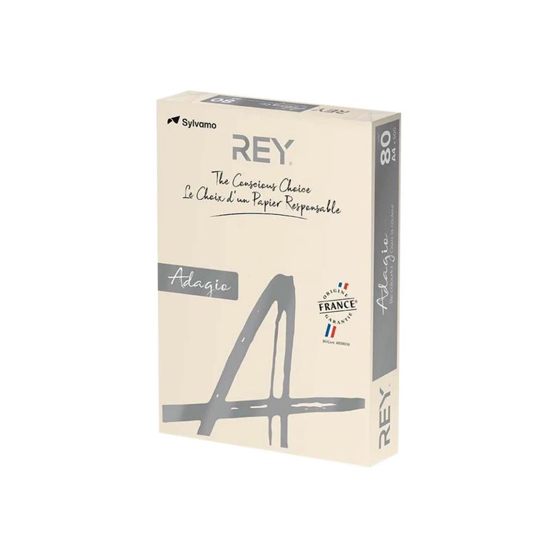 8421938302004-Rey Adagio - Papier couleur - A4 (210 x 297 mm) - 80 g/m² - Ramette de 500 feuilles - ivoire-P_12228_1-0