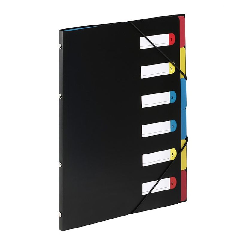 3135251992877-Viquel - Trieur polypro 6 positions - disponible dans différentes couleurs-P_199287_3-1