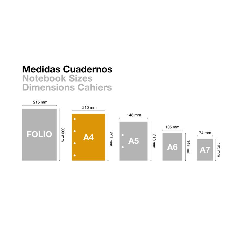 8422593060926-Notebook ECO EMOTIONS, carton recyclé, A4, quadrillage 5x5 mm, 80 feuilles de 1 couleur, Miquelrius, B--6