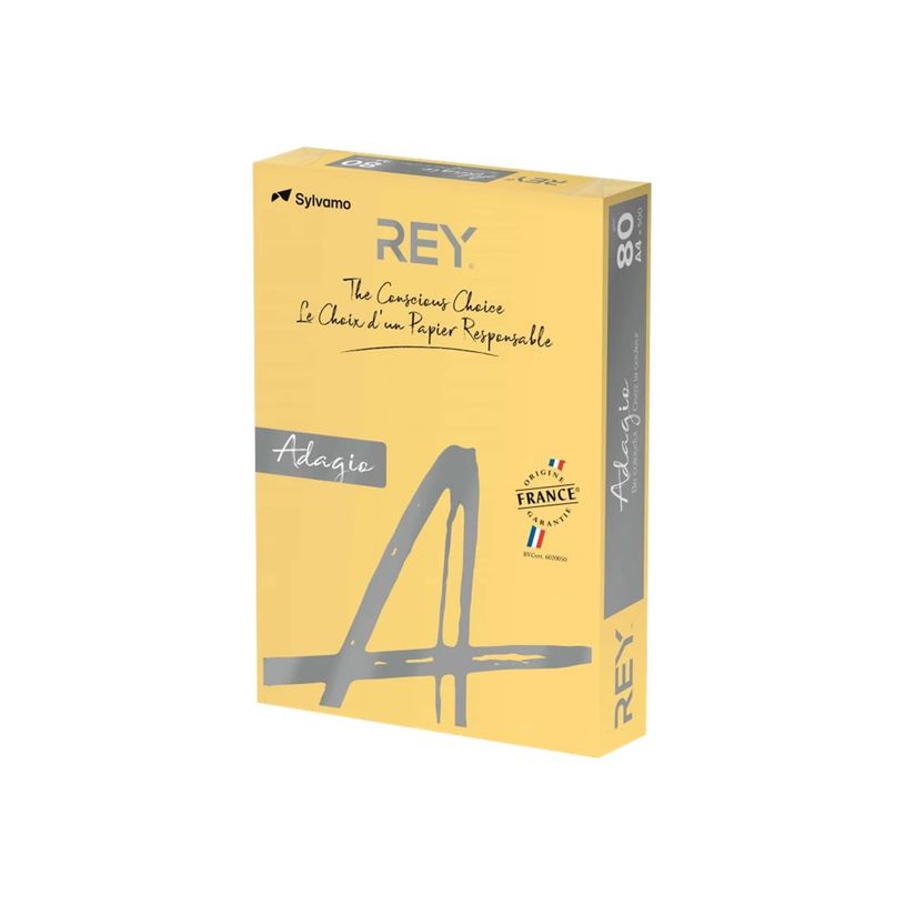 3368220102636-Rey Adagio - Papier couleur - A4 (210 x 297 mm) - 80 g/m² - Ramette de 500 feuilles - bou-P_300044637_1-0