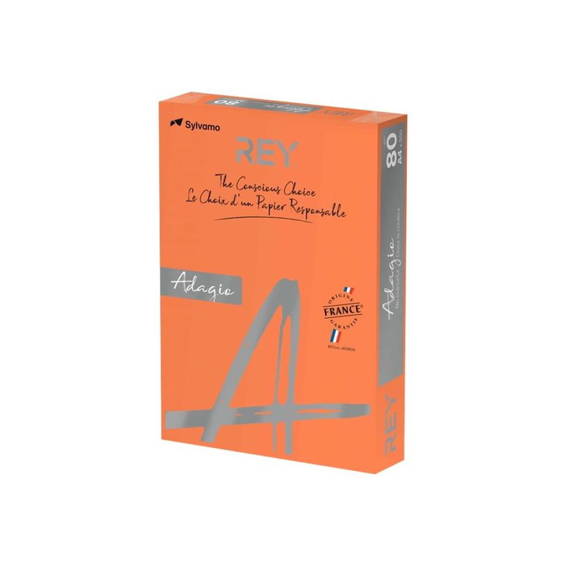 3368220102810-Rey Adagio - Papier couleur - A4 (210 x 297 mm) - 80 g/m² - Ramette de 500 feuilles - ora-P_300044645_1-0
