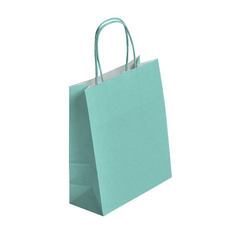 3700481669150-50 Sacs cadeau kraft - poignées torsadées - 18 cm x 8 cm x 22 cm - vert d'eau-P_400001204_1-0