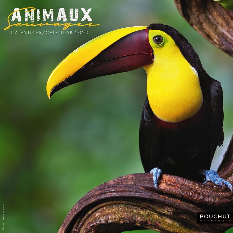 3592930020687-Bouchut Animaux Sauvages - Calendrier illustré mensuel - 15 x 15 cm-P_400009186_1-0