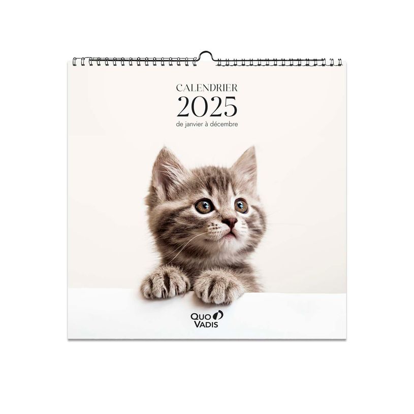 3371010469284-Quo Vadis - Calendrier à feuilles Animaux - 30 x 30 cm-P_400009720_1-0