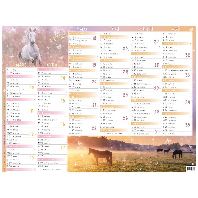 3664447138558-Calendrier Cheval - 7 mois par face - 21 x 26,5 cm - Oberthur-P_405132158_2-1