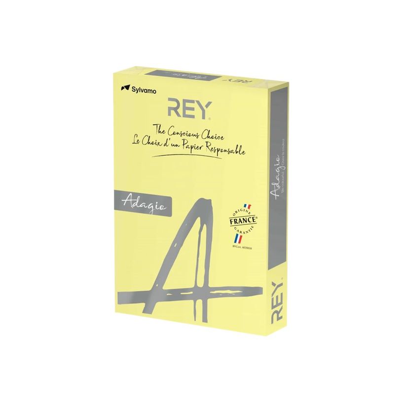 3141728711445-Rey Adagio - Papier couleur - A3 (297 x 420 mm) - 120 g/m² - Ramette de 250 feuilles - ca-P_405137798_1-0