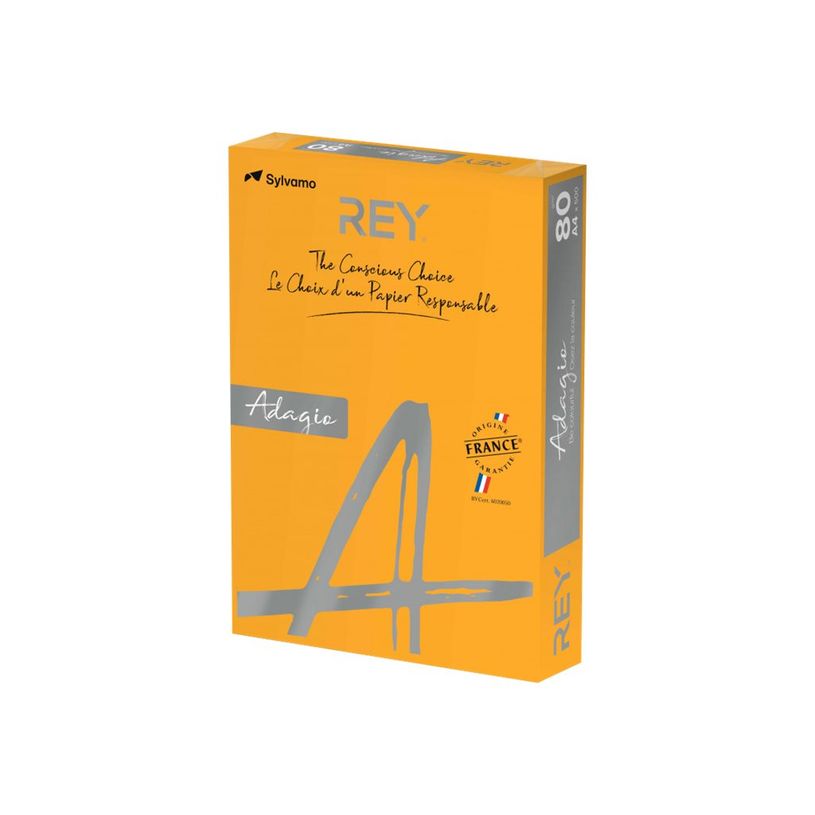 3141728710943-Rey Adagio - Papier couleur - A4 (210 x 297 mm) - 160 g/m² - Ramette de 250 feuilles - po-P_405137834_1-0