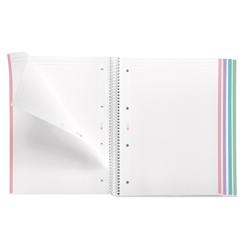 8422593040812-Notebook Aurora, A4, quadrillage 5x5 mm, 120 feuilles de 4 couleurs, Miquelrius, West Bay.--4
