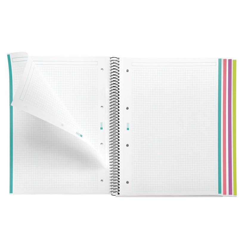 8422593040843-Notebook Aurora, A4, quadrillage 5x5 mm, 120 feuilles de 4 couleurs, Miquelrius, Iceland.--5