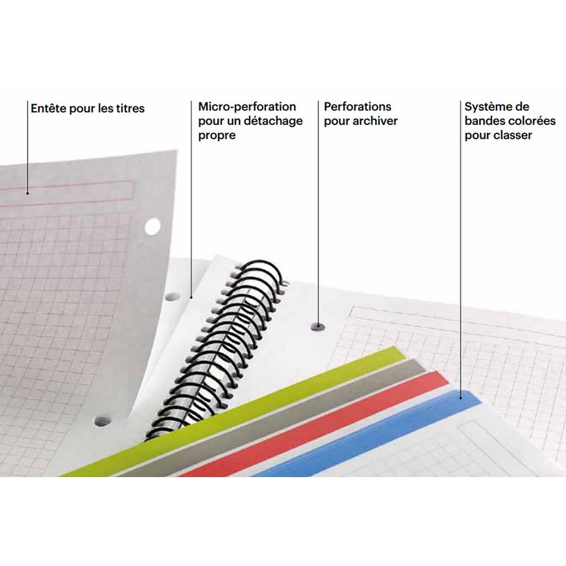 8422593485675-Notebook Emotions, couverture souple, A4 lignes horizontales 7 mm, 120 feuilles de 5 couleurs, Miquelri--6