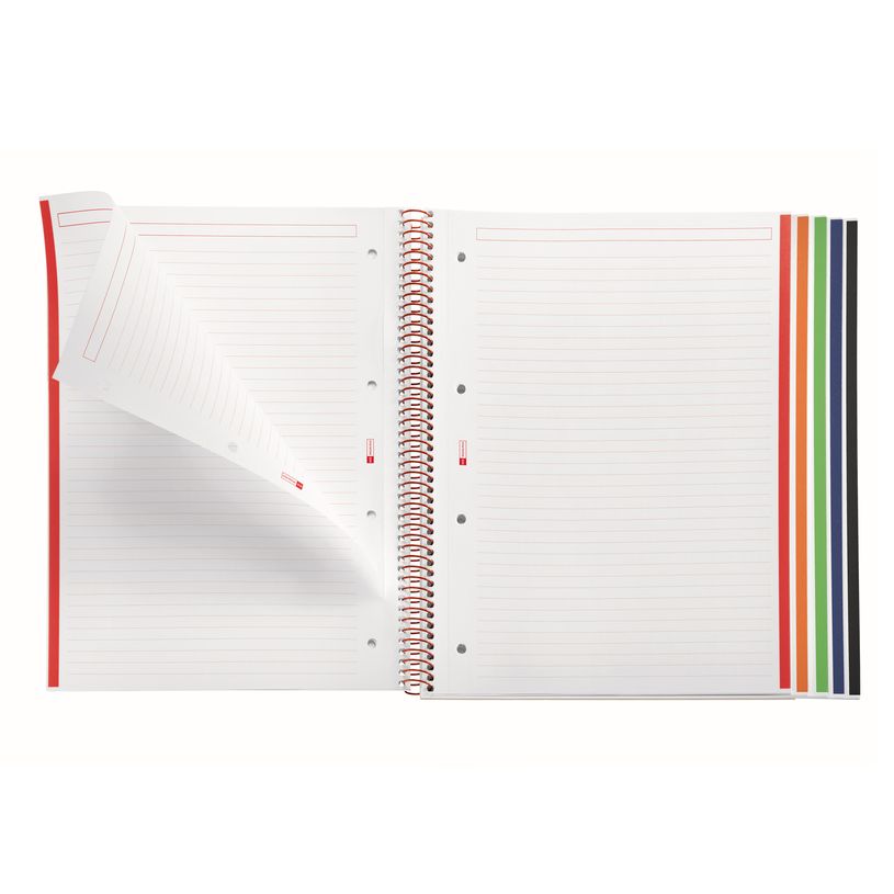 8422593485699-Notebook Emotions, couverture souple, A4 lignes horizontales 7 mm, 120 feuilles de 5 couleurs, Miquelri--3