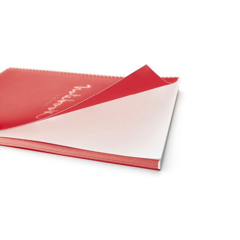 8422593021064-Notebook Emotions, couverture souple, A4 séyès, 80 feuilles de 1 couleur, Miquelrius, Ro-P_405189261_4-3