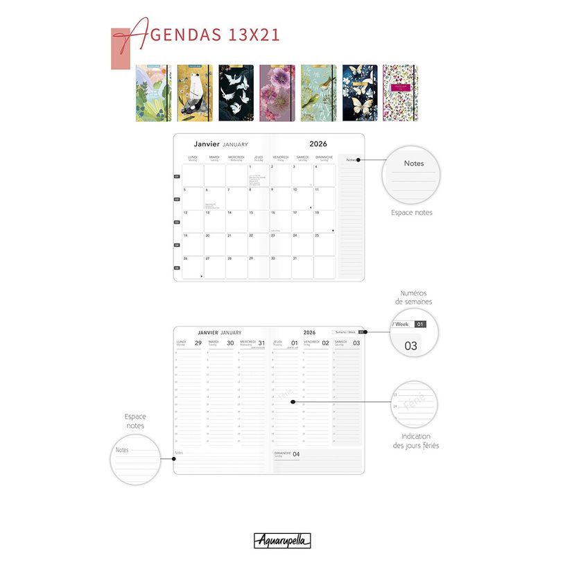 3494150175119-Agenda 13x21cm 12 mois Aquarupella -Papillons --1