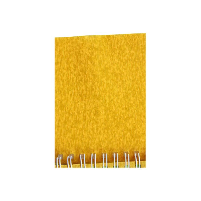 3065501036160-Clairefontaine Premium - Papier crépon - Rouleau 50 cm x 2,5 m - 40 g/m² - or-P_7550016_2-1