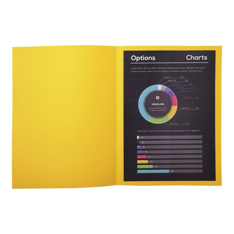 3288582171111-Exacompta Rock"s - 10 Chemises - 210 gr - jaune-P_79346073_3-1