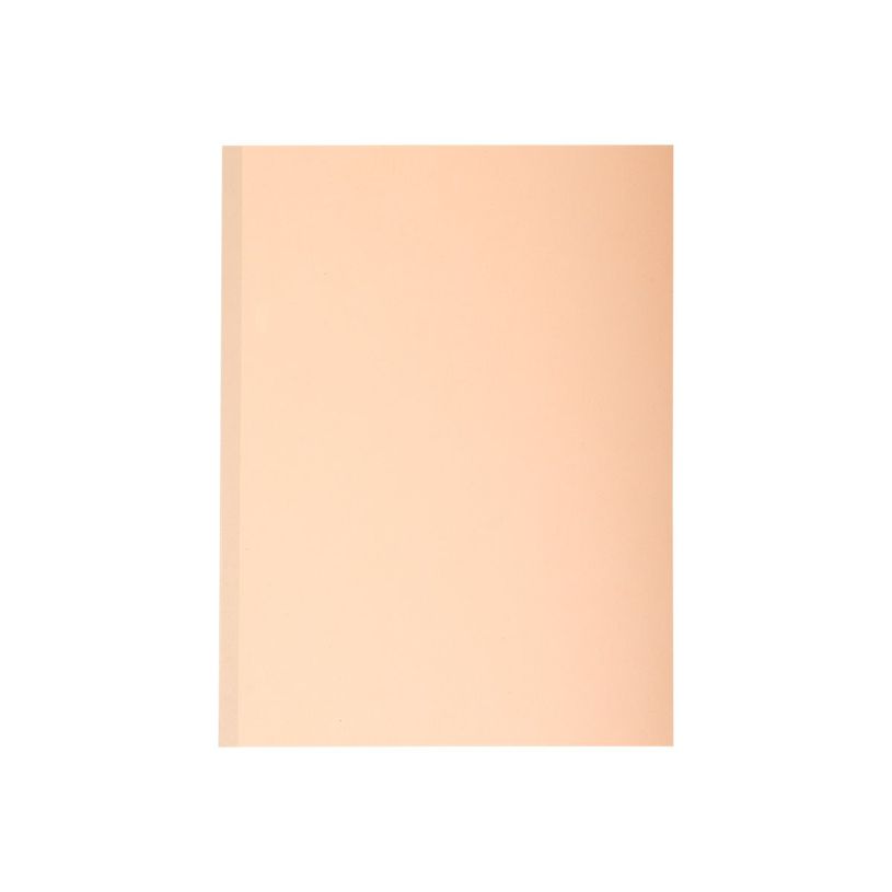 3130637710007-Exacompta Forever - 10 Chemises à soufflet - 320 gr - couleurs assorties-P_79359255_2-1
