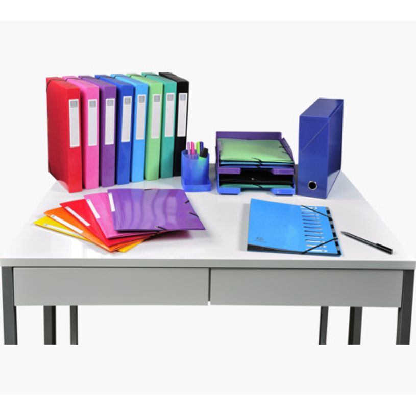3130630539292-Exacompta Iderama - Trieur extensible 12 positions - disponible dans différentes couleur-P_79389290_16-14
