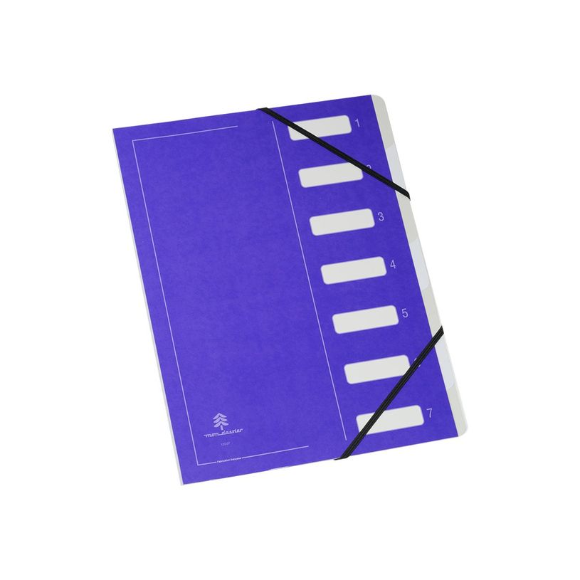 3068590029297-Extendos Série 122 - Trieur 12 positions - disponible dans différentes couleurs-P_79395885_1-0