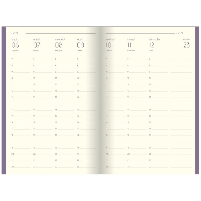 3108728159615-Agenda Colornote - 1 semaine sur 2 pages - 10 x 15 cm - disponible dans différentes couleu-P_79398098_9-5