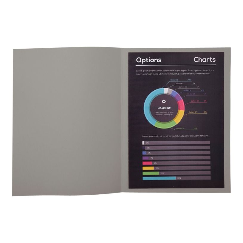 3130630217107-Exacompta Rock"s - 10 Chemises - 210 gr - pour 200 feuilles - gris-P_79418830_2-0