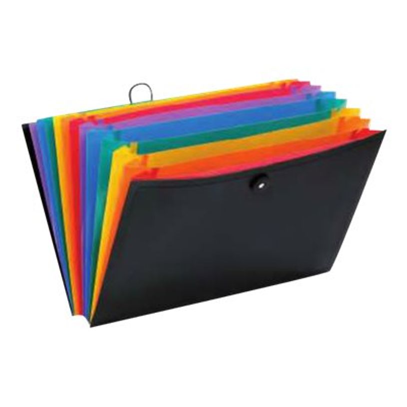 3135251116679-Viquel Rainbow Class - Trieur extensible 12 positions-P_79419270_1-0