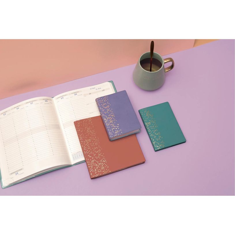 3660942065641-Agenda Amélie Horizons 22 - 1 semaine sur 2 pages - 18,5 x 22,5 cm - disponible dans différentes coul--4