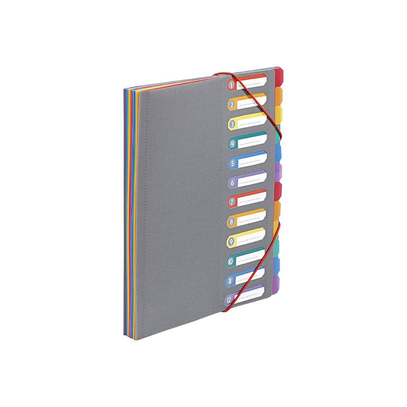 3135259909174-Viquel Rainbow Touch - Trieur 12 positions-P_79445260_1-0