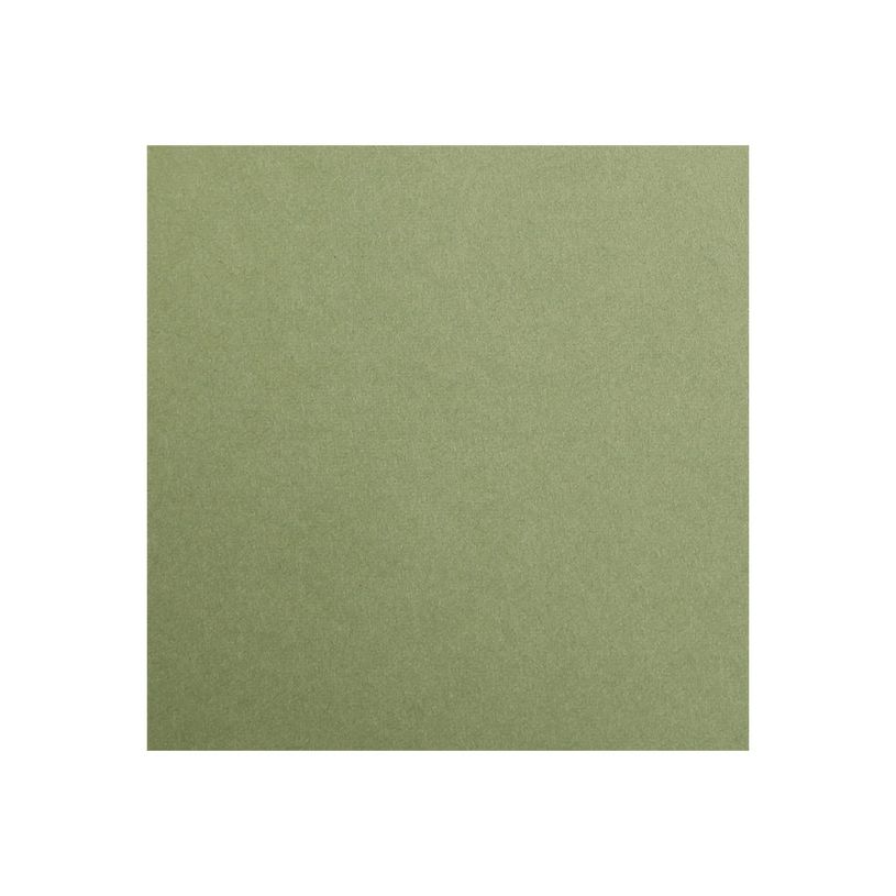 3329680972702-Clairefontaine Maya - Papier à dessin - 50 x 70 cm - 270 g/m² - kaki-P_972701_1-0