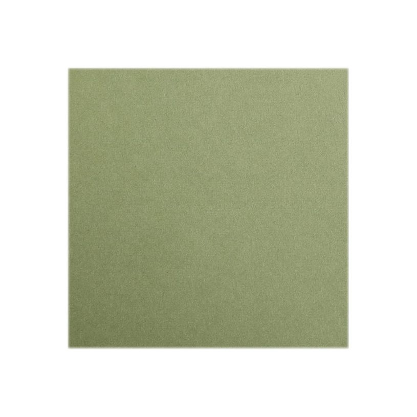 0000009737013-Clairefontaine Maya - Papier à dessin - A4 - 120 g/m² - kaki-P_973701_1-0