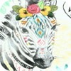 zebre